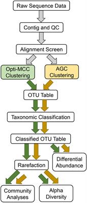 Nitrogen Cycling Microbial Diversity and Operational Taxonomic Unit Clustering: When to Prioritize Accuracy Over Speed